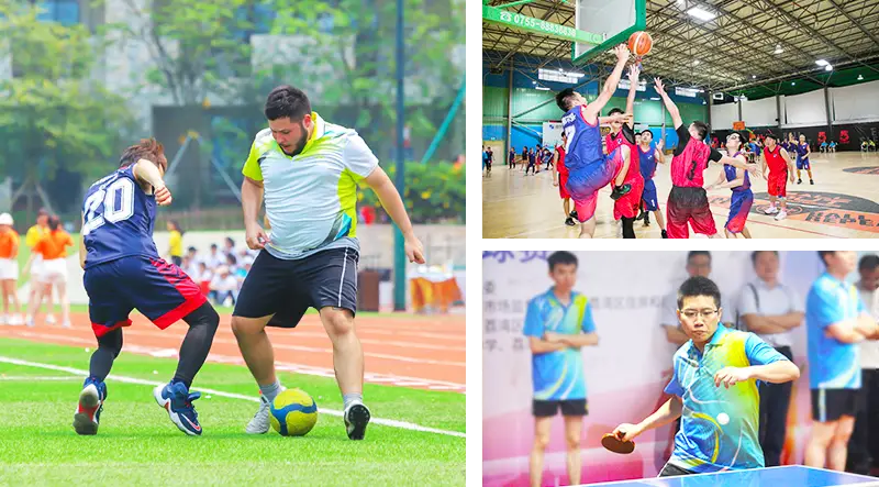 龙8-long8竞技体育