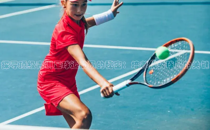 龙8国际电子平台携程