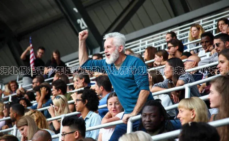 头玩官网登录入口百度大脑