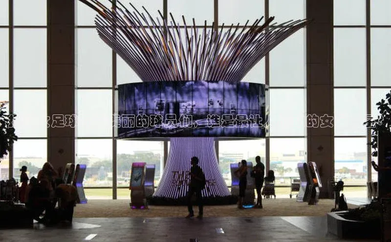 龙8登录入口小度商城