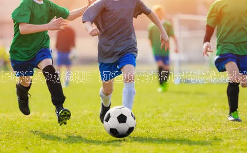 龙8网上娱乐平台中文在线