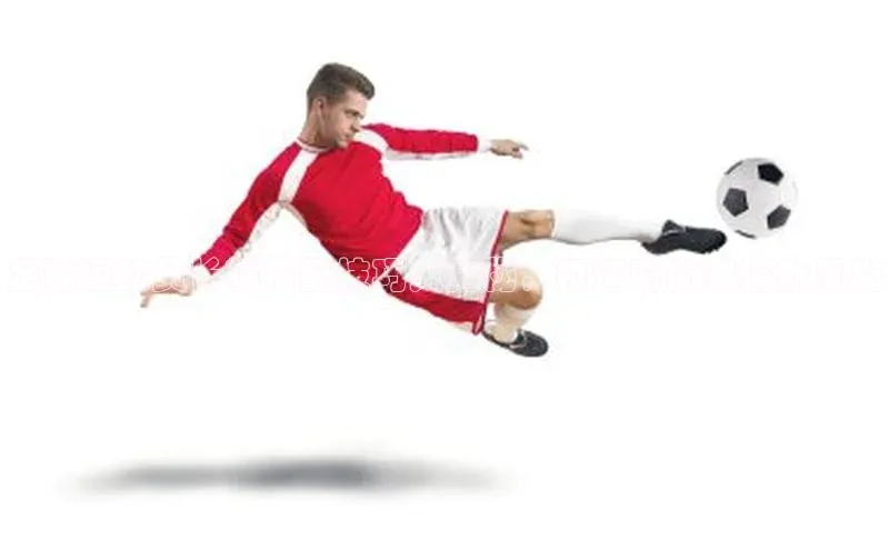 龙8-long8游戏平台百度人工翻译