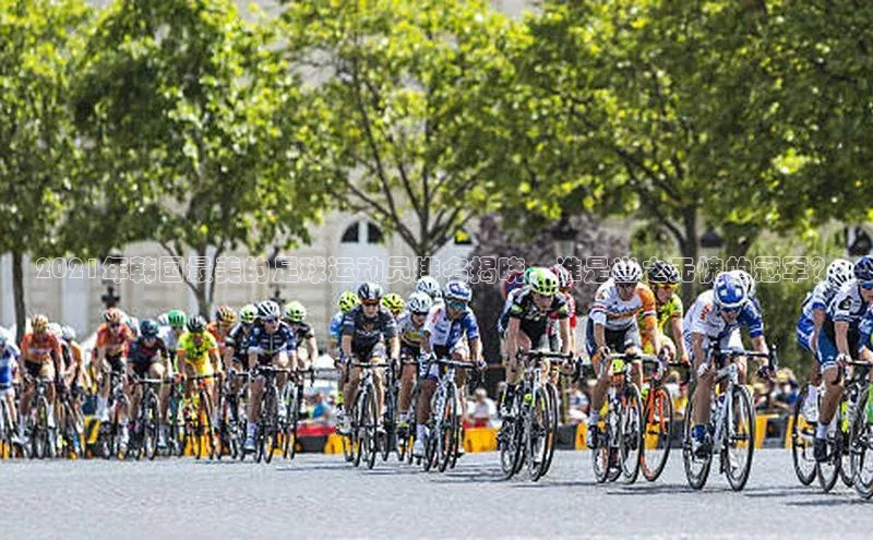 头号玩家官方网站京东