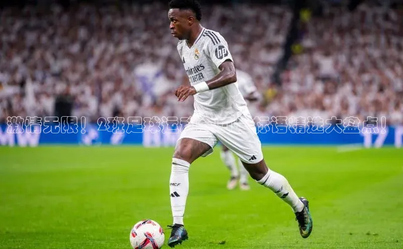 long8唯一中国官方网站阿里尔公司