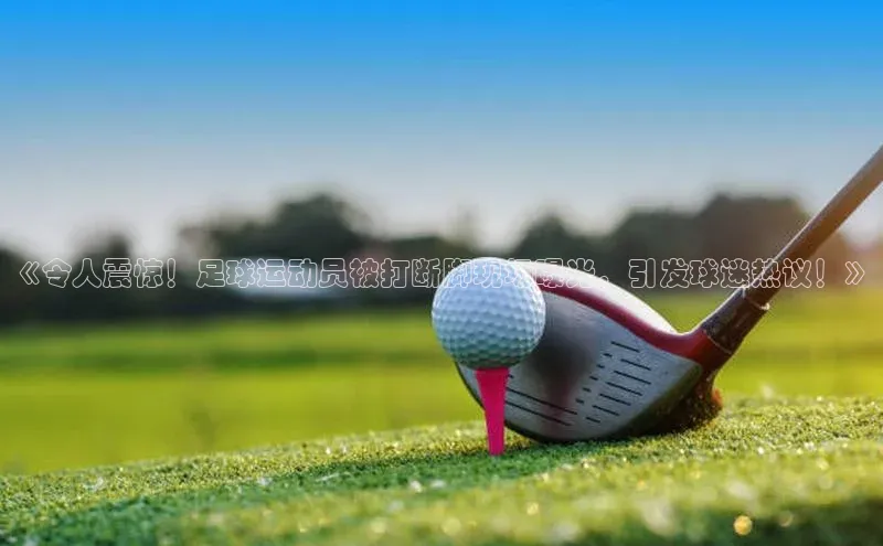 龙8-long8娱乐平台百度数据开放平台