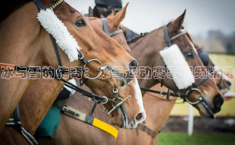 头号玩家网站官方网站下载