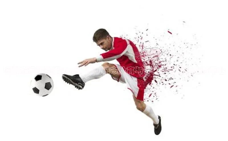 龙八国际唯一官方网站