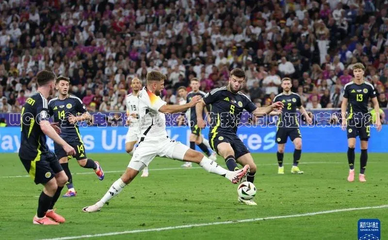 龙8国际电子平台