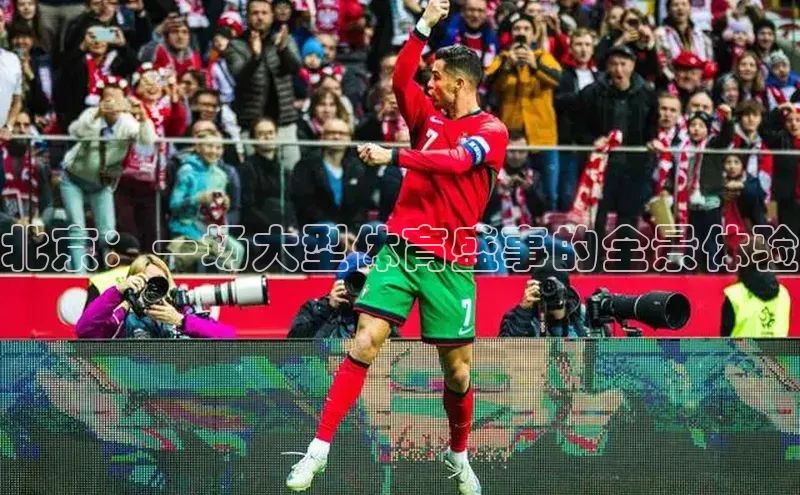 龙八国际app官方版