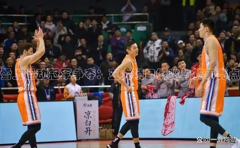 龙8网上娱乐平台