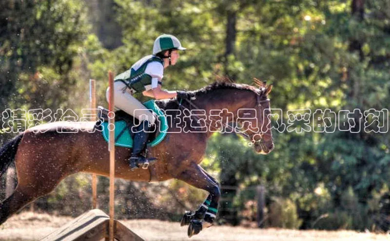 龙8官网 long8 bet